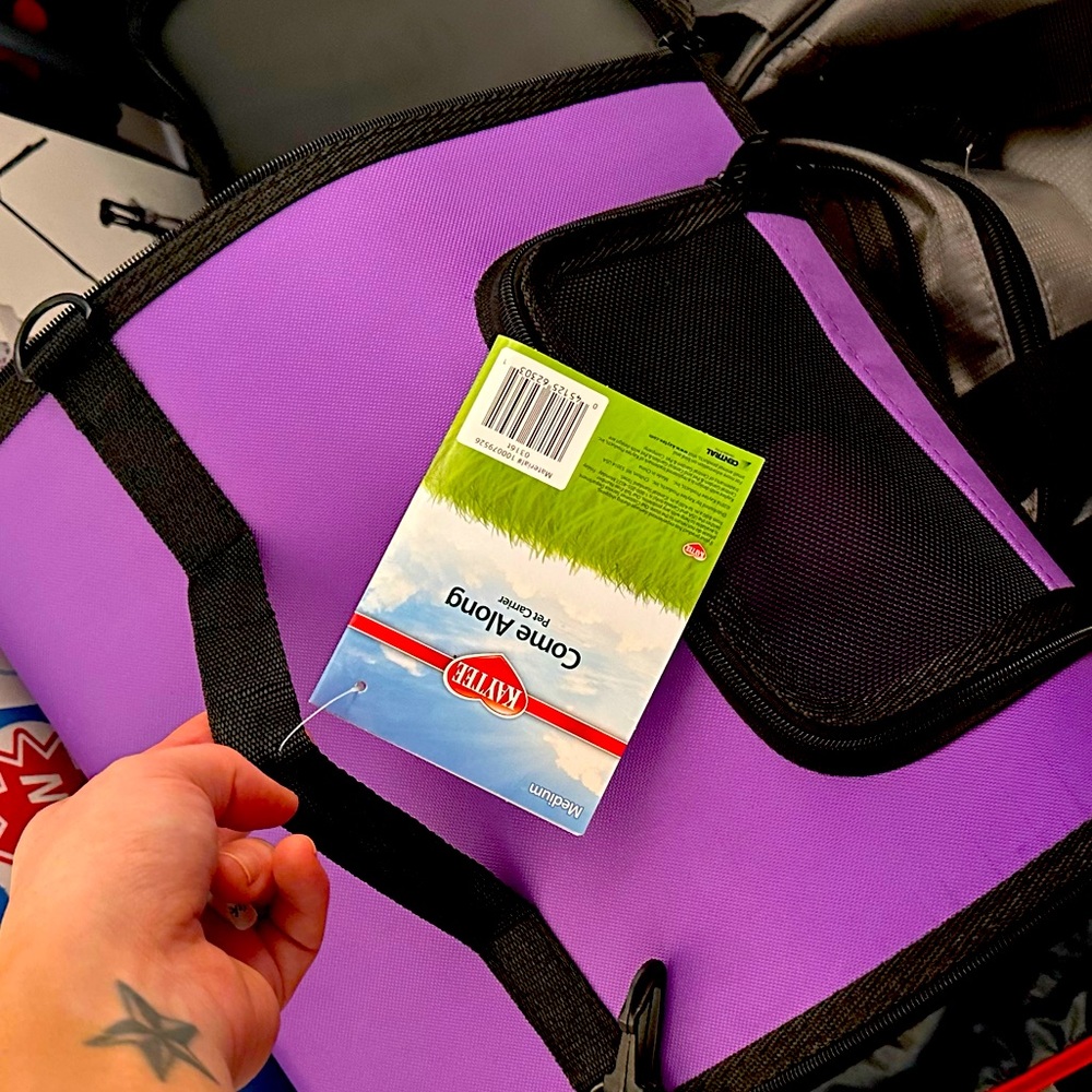 Kaytee pet carrier (Guinea pig sized or 8week kitten)